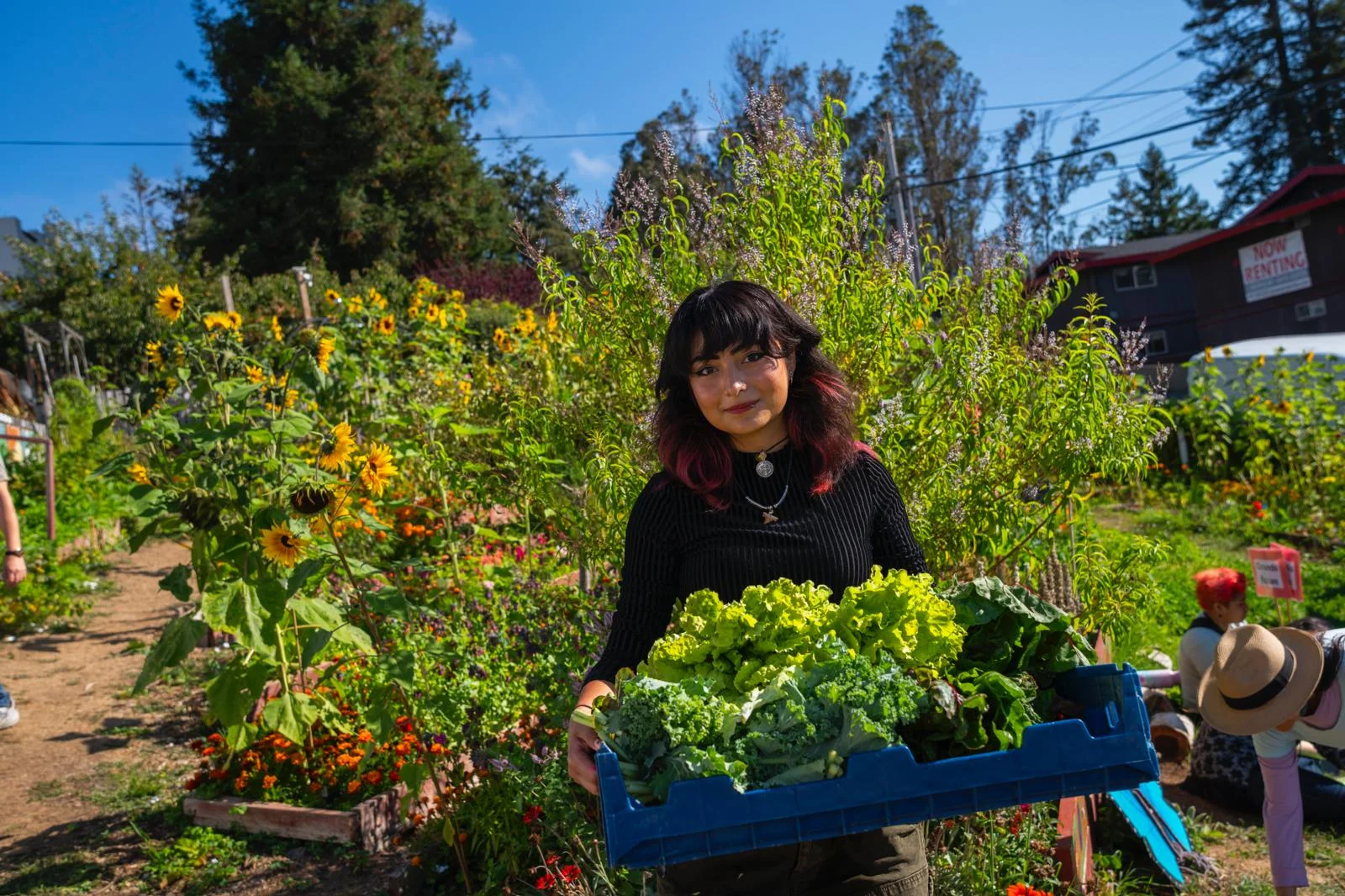 Sanctuary Gardens & Farm