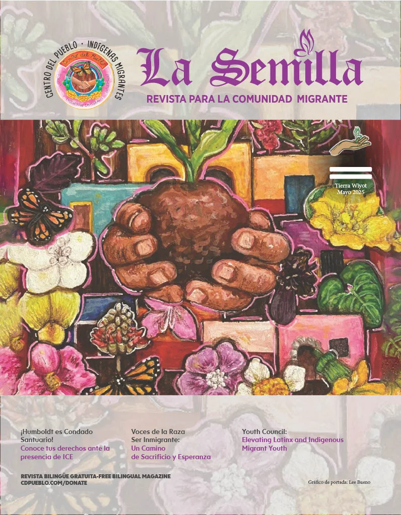La Semilla Comunicación