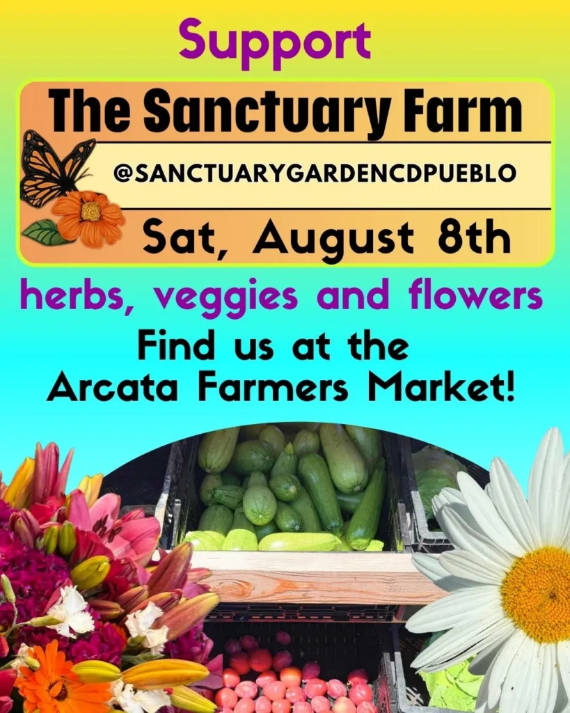 Visit Us at the Arcata Friday Night Market!